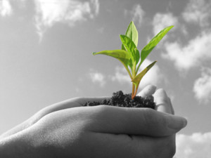 Types of Lead Nurturing That Helps Business Grow